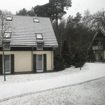 In For 4 Personen Appartement Trassenheide