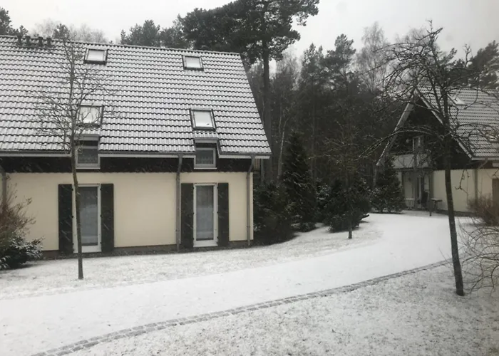 In For 4 Personen Apartament Trassenheide